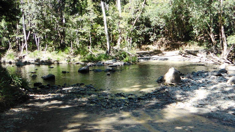 Bloomfield Track